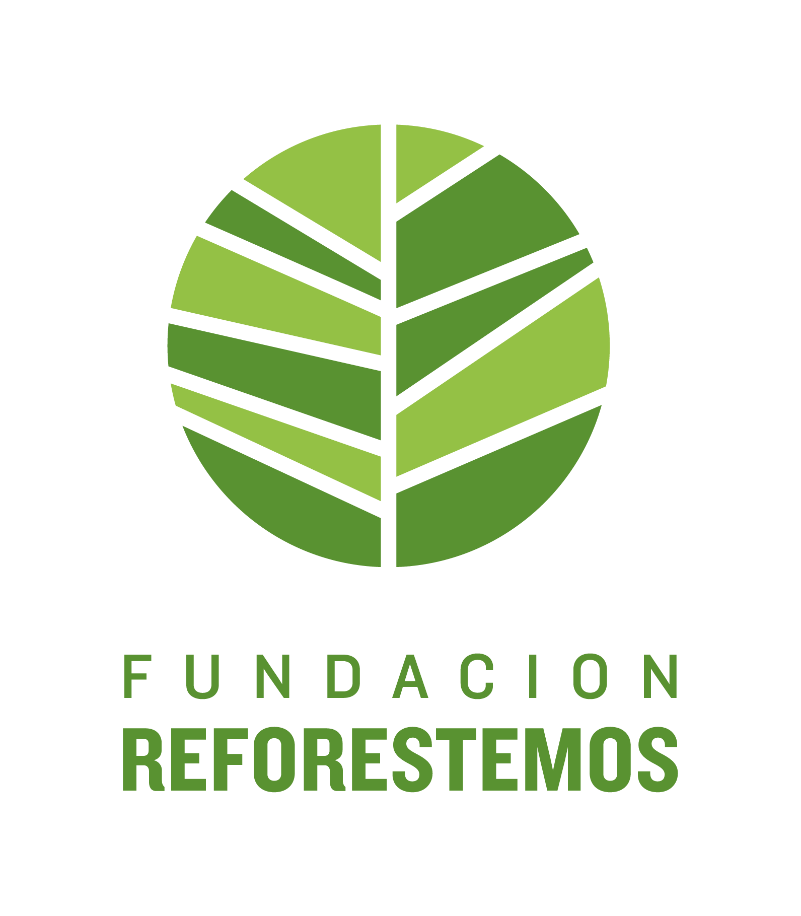 Fundación Reforestemos