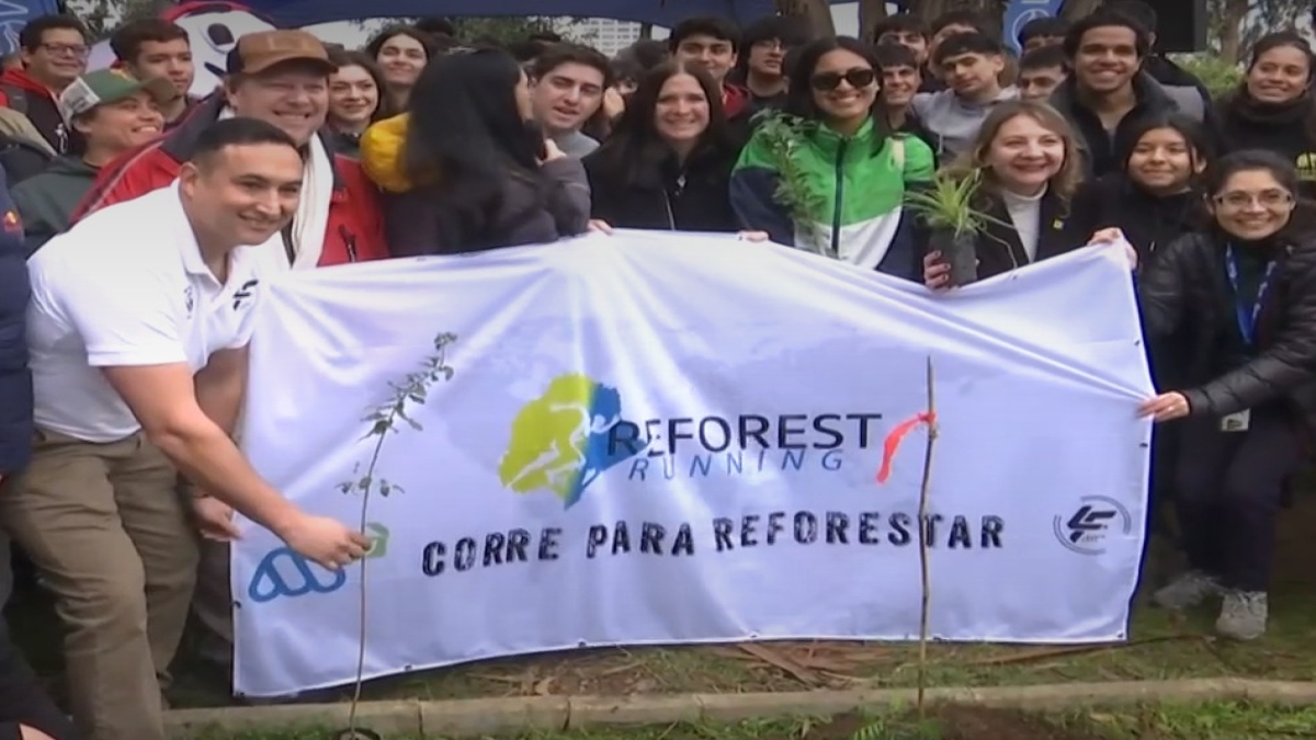 Reforestación Reforest Running