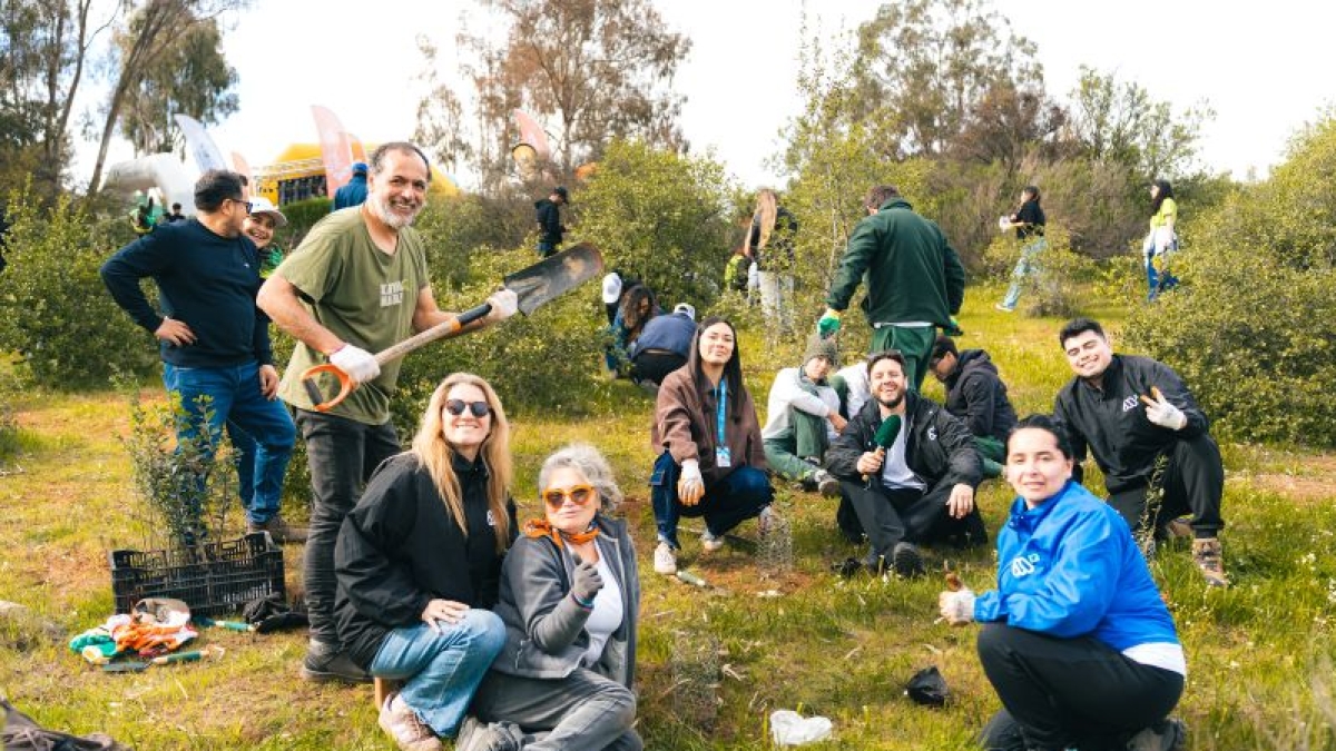 Voluntarios reforestando